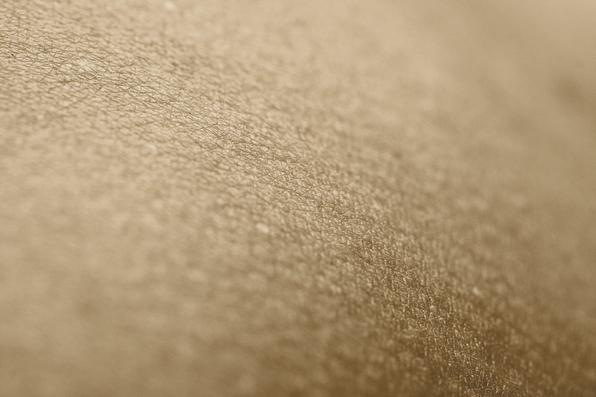 A macro photograph of skin texture in daylight.
